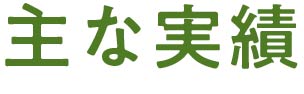 主な実績
