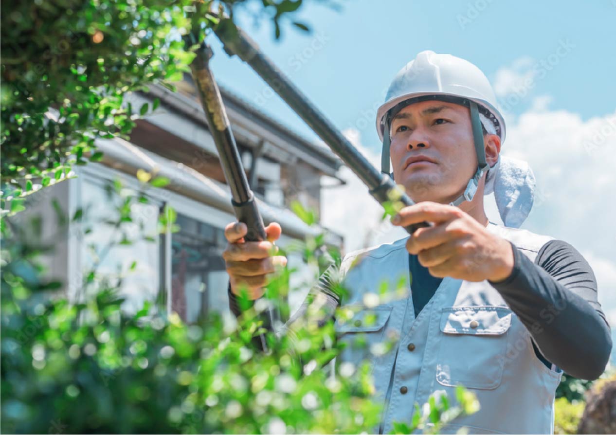 求人情報