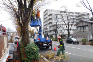 街路樹